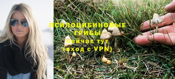 мет Коряжма