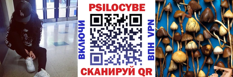 Псилоцибиновые грибы GOLDEN TEACHER  Кологрив 